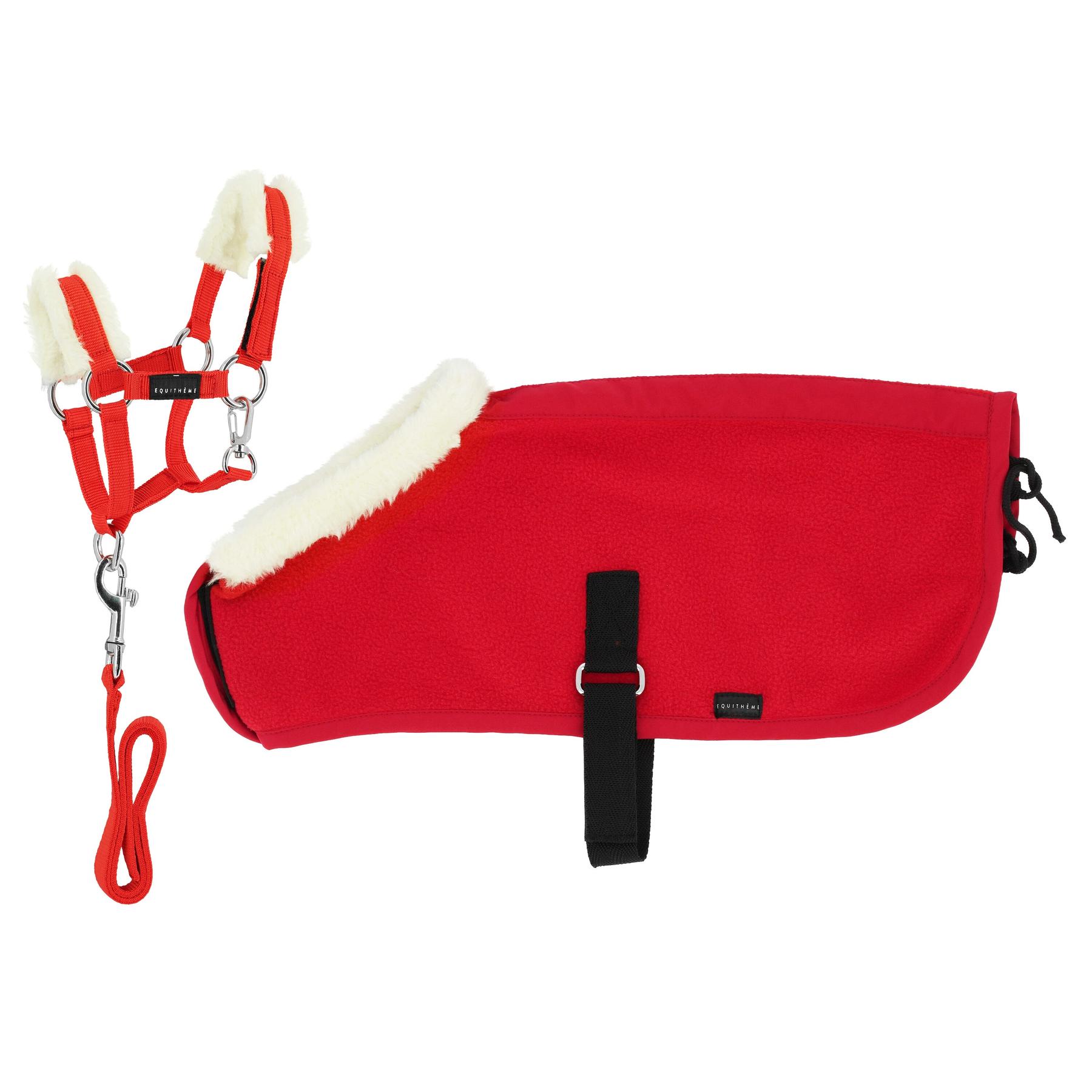product/e/q/equitheme_901428003_rouge_1.jpg