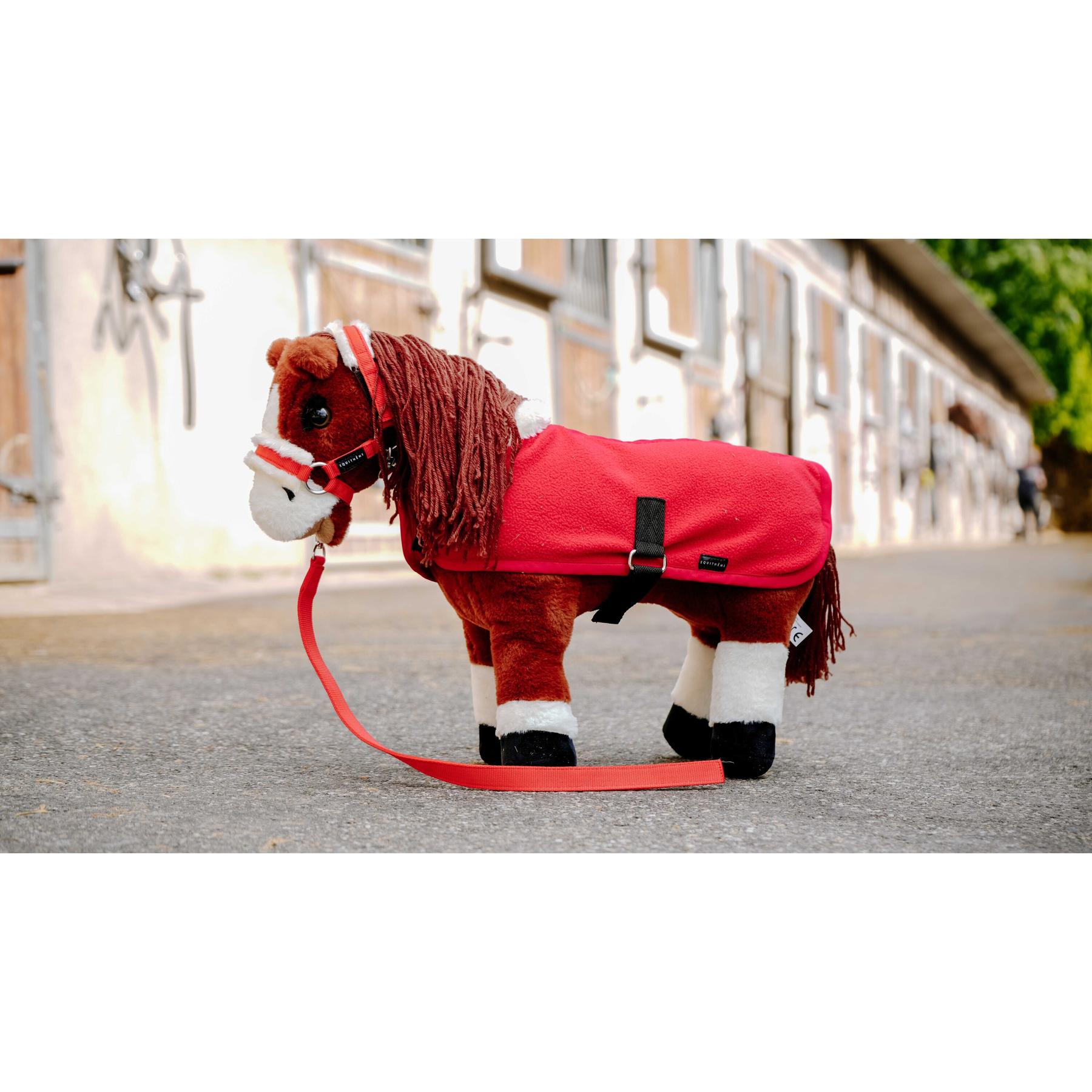 product/e/q/equitheme_901428003_rouge_2.jpg
