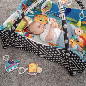 Baby's Awake / Playtime