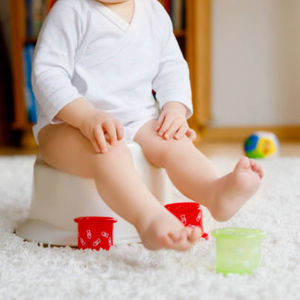 Step Stools, Seats & Potties