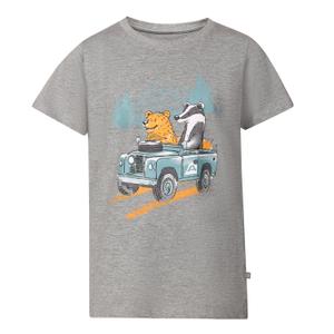 ktse515774pb-kid-s-t-shirt-alpine-pro-rejo-gray-varianta-pb