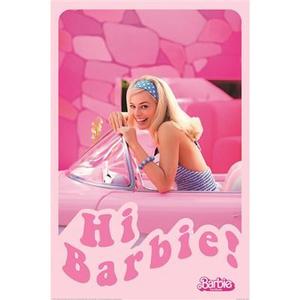611830-maxi-poster-barbie-hi-pink