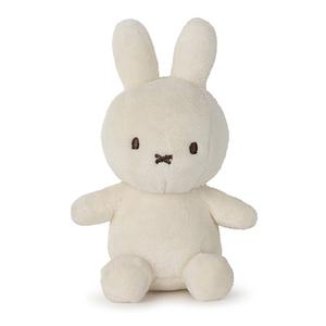 product/b/o/bon-ton-toys_bt24182559.jpg