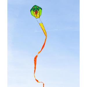 ecocoe-kite-ecoline-cobra-kite-emerald-multicolour-1000-cm