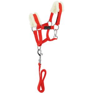 901426003-halter-and-lead-rope-set-for-horse-equitheme-pony-academy-red-one-size