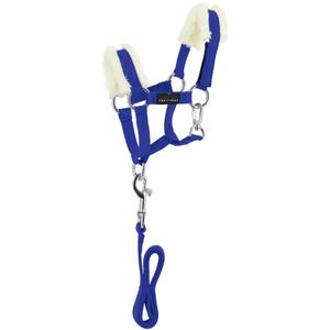 901426006-halter-and-lead-rope-set-for-horse-equitheme-pony-academy-royal-blue-one-size