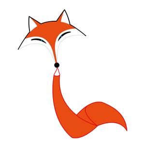 ecofoxk-kite-hq-kites-ecoline-fox-kite-orange-96-cm