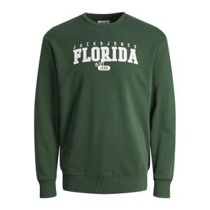 12249939-4465579-sweatshirt-crewneck-child-jack-jones-cory-dark-green-loose
