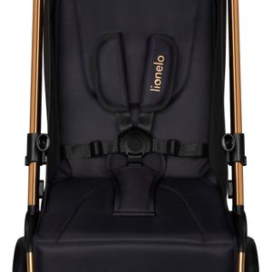 product/l/i/lionelo_lo-cloe-golden-moments_golden-moments_9.jpg