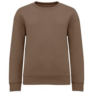 ns437-driftwood-sweatshirt-round-neck-child-native-spirit-driftwood