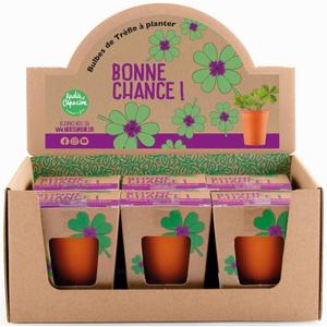 a2401139-four-leaf-clover-pot-pre6-radis-et-capucine-orange-green-9x7x7-cm